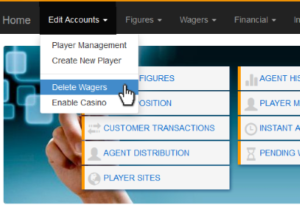  Player Activity in Your Bookie Reports